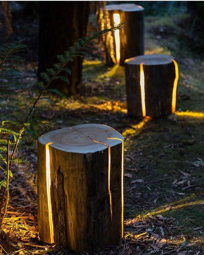 Cracked Log Lamp By Duncan Meerding