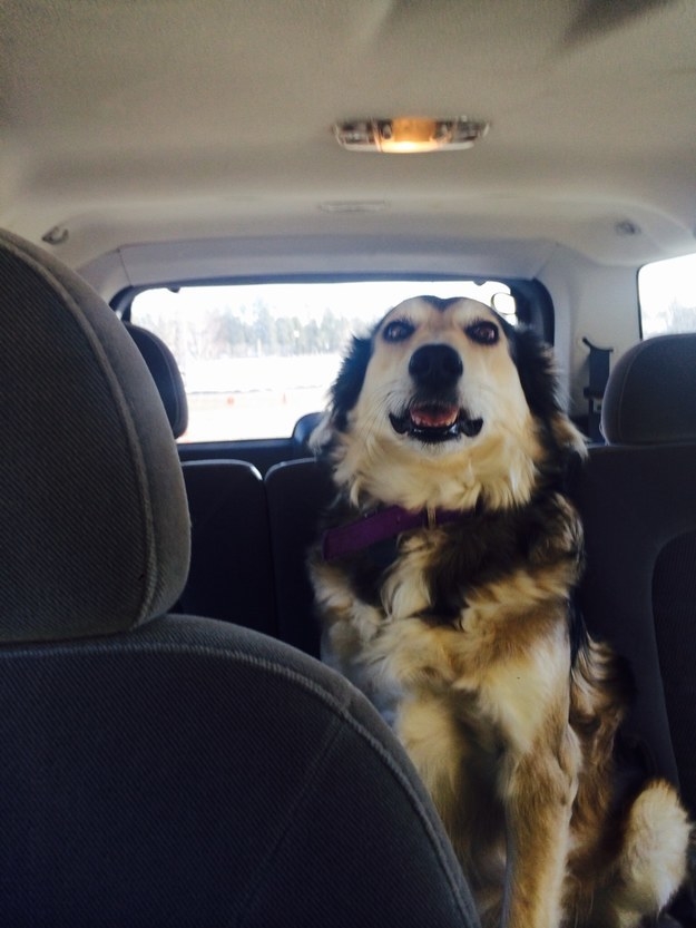 "Mind if I drive? You're really freaking me out."