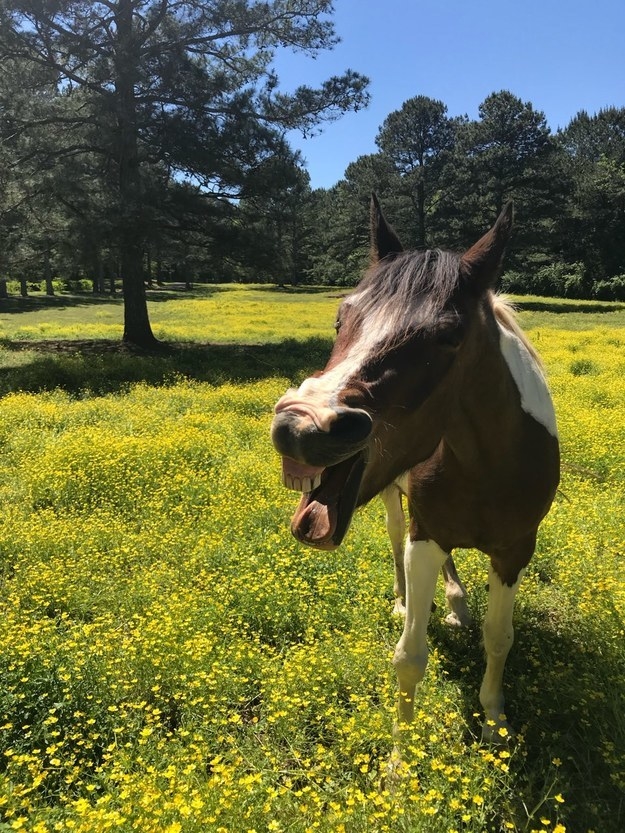 "My allergies are killin' me! Ya caught me mid-sneeze."