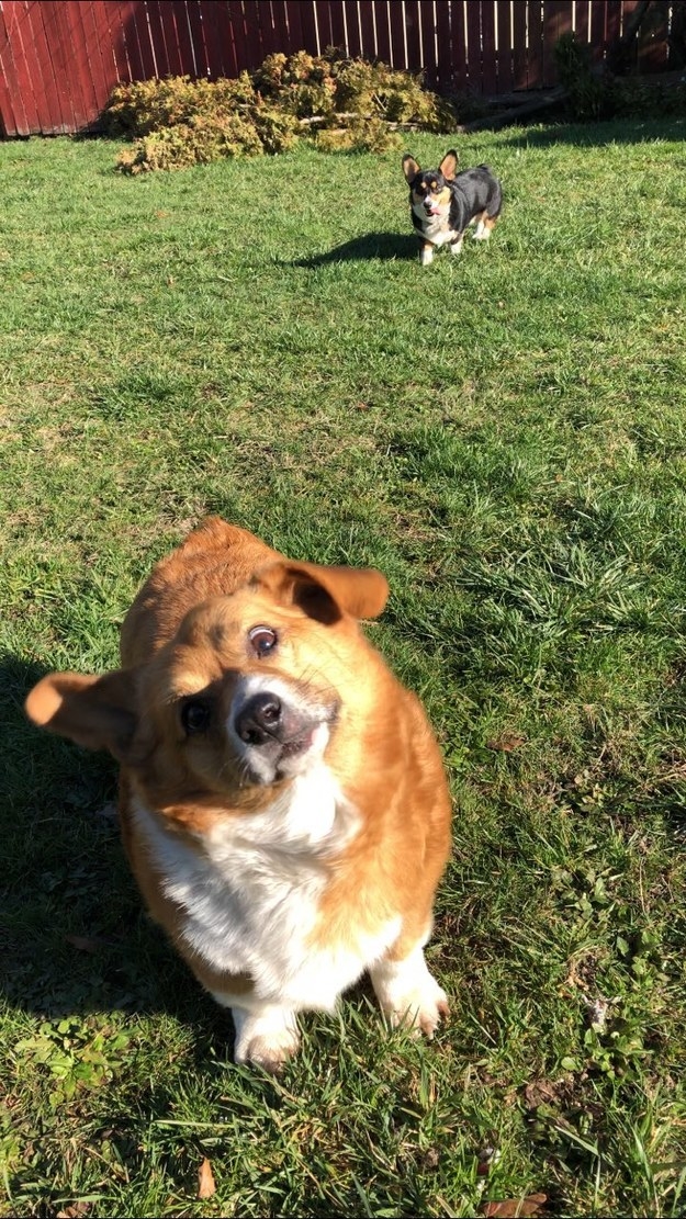 "I knew I should have brung my sunglasses today!"