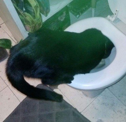 "I must go! My people need me."