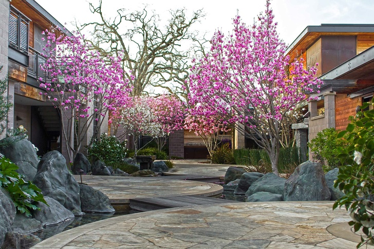 10 Hoteles ecológicos que están revolucionando la forma de hacer turismo