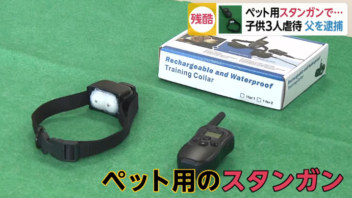 fnn.jp