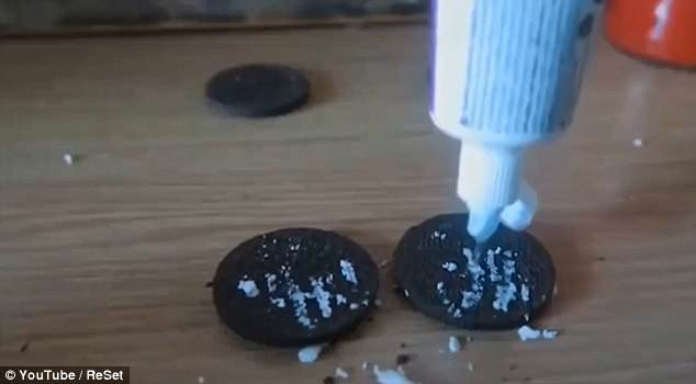 YouTuber Who Tricked Homeless Man Into Eating Toothpaste-Filled Oreos ...