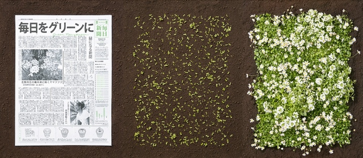 8 Innovadoras maneras de reciclaje que están salvando al planeta de los desechos