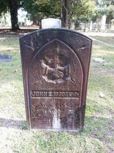 Image may contain: tree, plant and outdoor