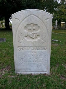 Image may contain: plant, grass, tree, outdoor and nature