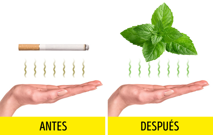 10 Maneras rápidas de verse bien arreglada y elegante