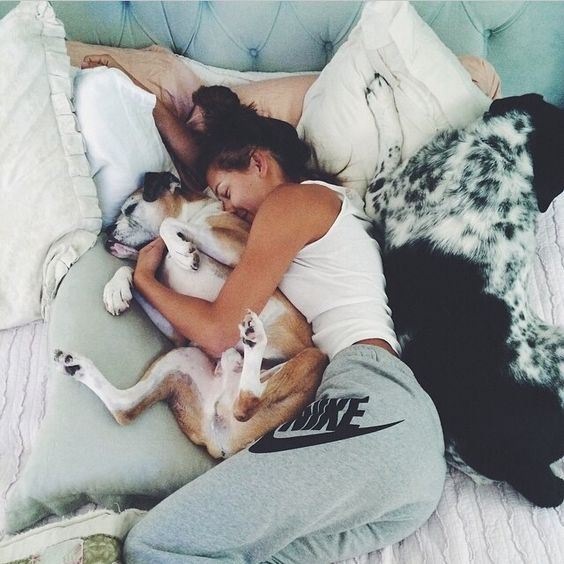 acurrucarte con tu perro