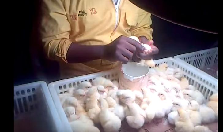 10 Trabajos extravagantes, muy bien remunerados y que pocos hacen