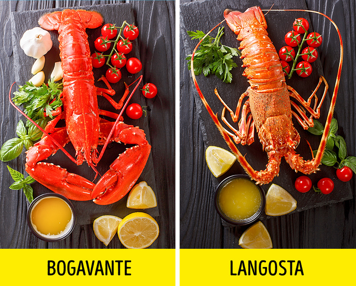 Cómo elegir mariscos que se pueden comer sin riesgo para la salud