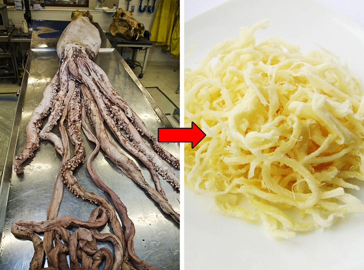 Cómo elegir mariscos que se pueden comer sin riesgo para la salud