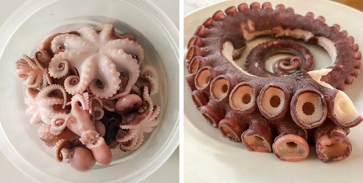 Cómo elegir mariscos que se pueden comer sin riesgo para la salud