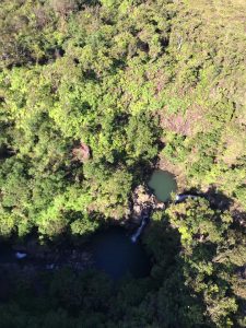 Image may contain: plant, tree, outdoor and nature