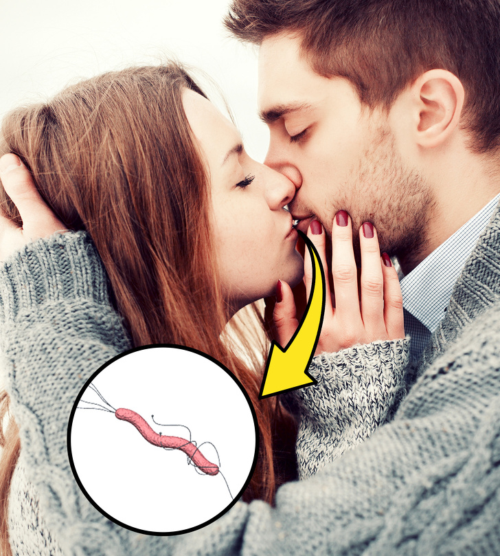 9 Сriaturas repugnantes con las cuales compartimos nuestro hogar