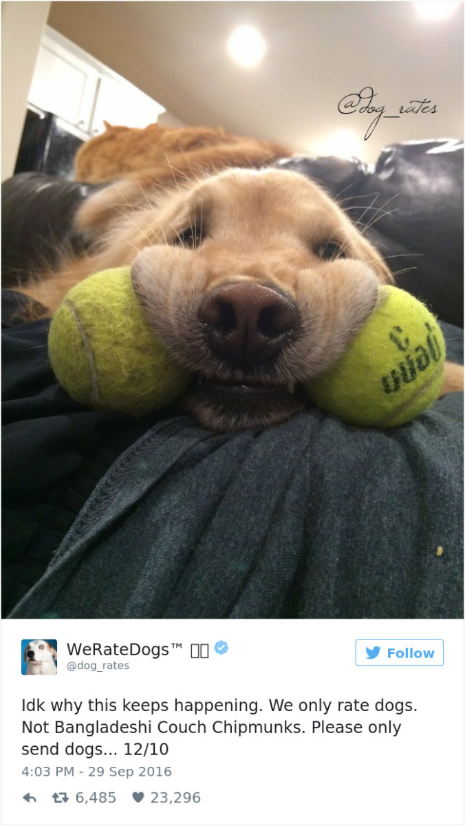 @dog_rates