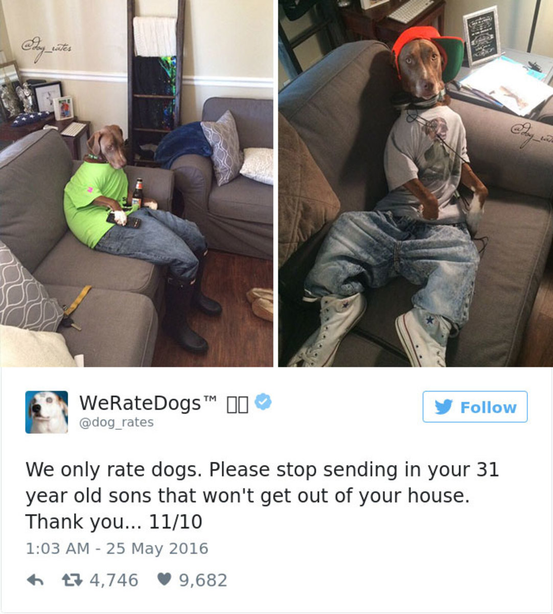 @dog_rates