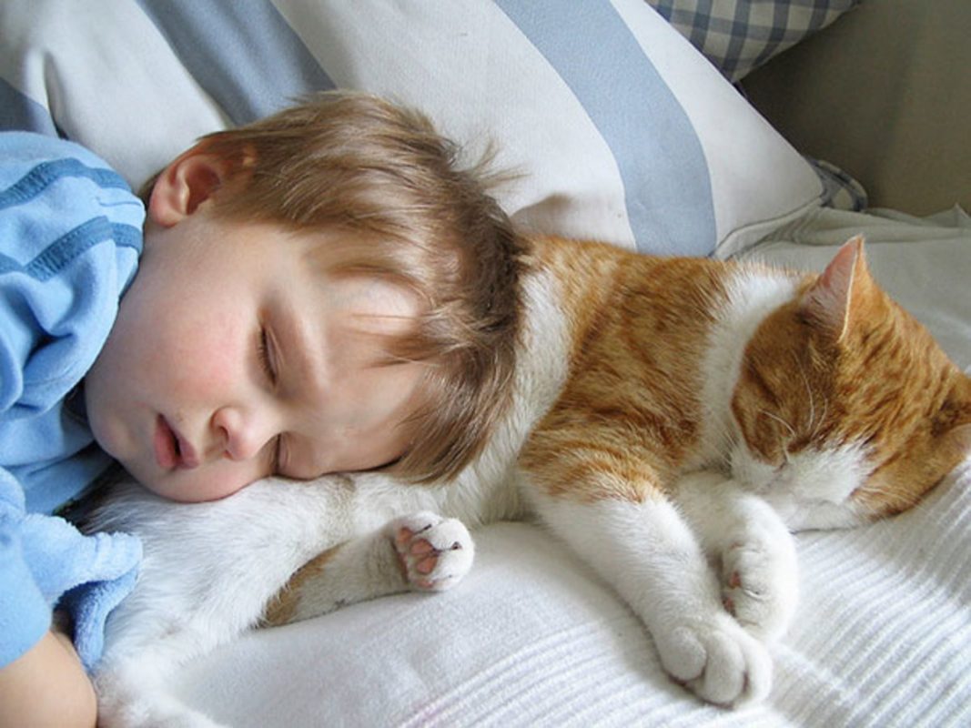 Photo via BoredPanda