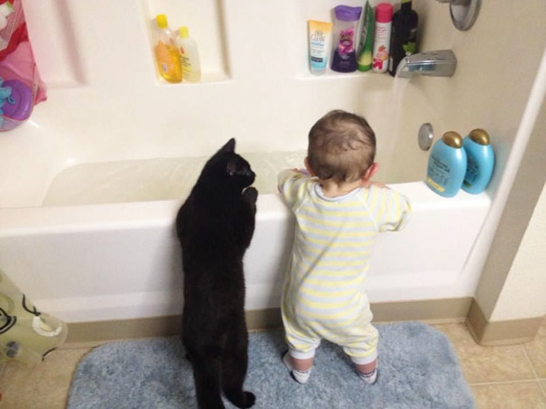 Photo via Imgur