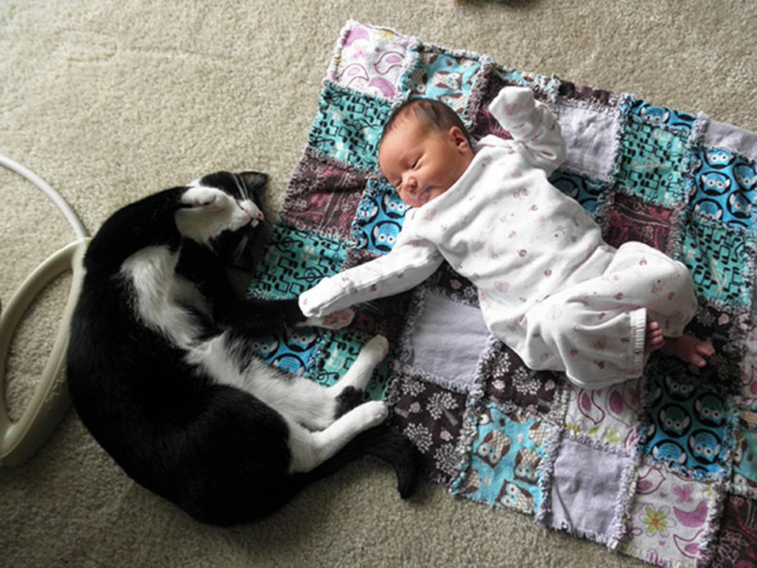 Photo via Imgur