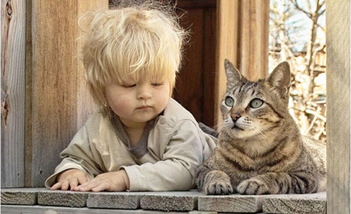 Photo via animal friends