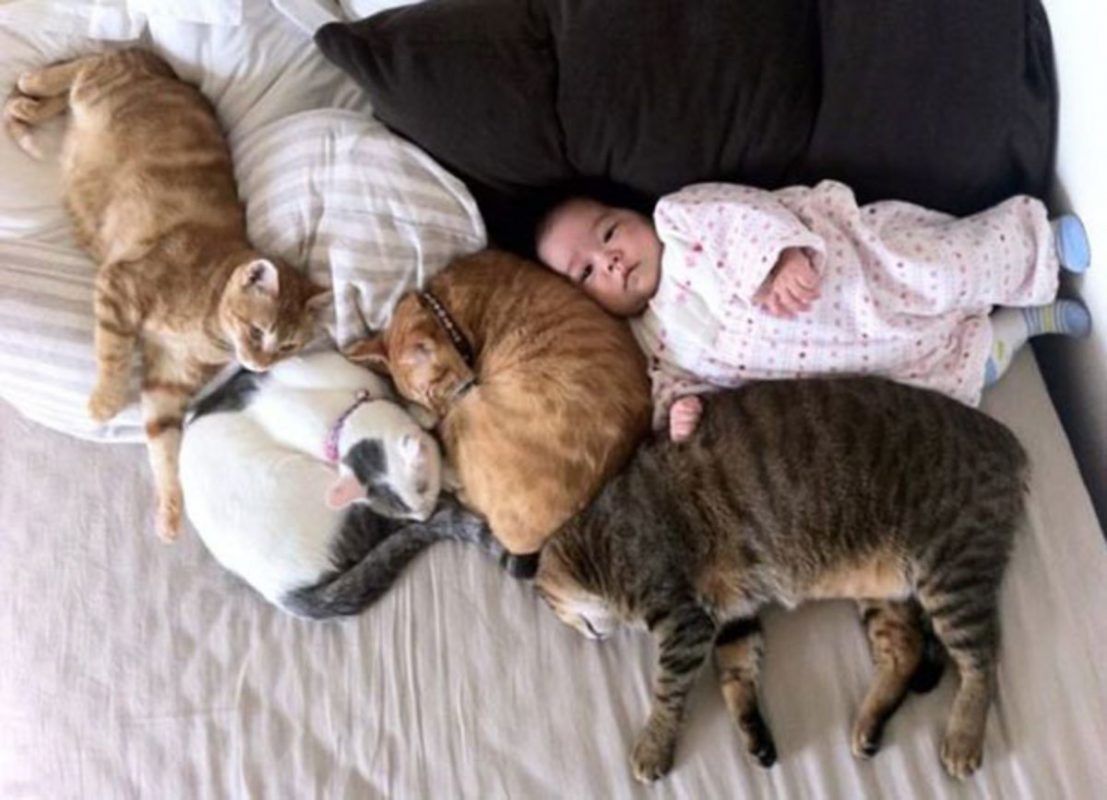 Photo via BoredPanda