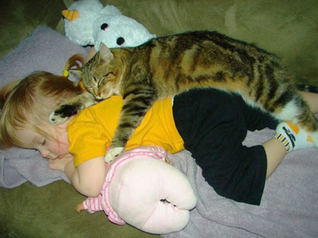 Photo via BoredPanda