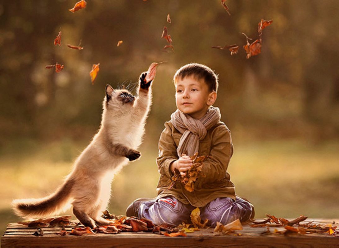 Photo via Elena Shumilova