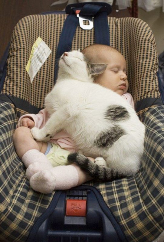 Photo via BoredPanda