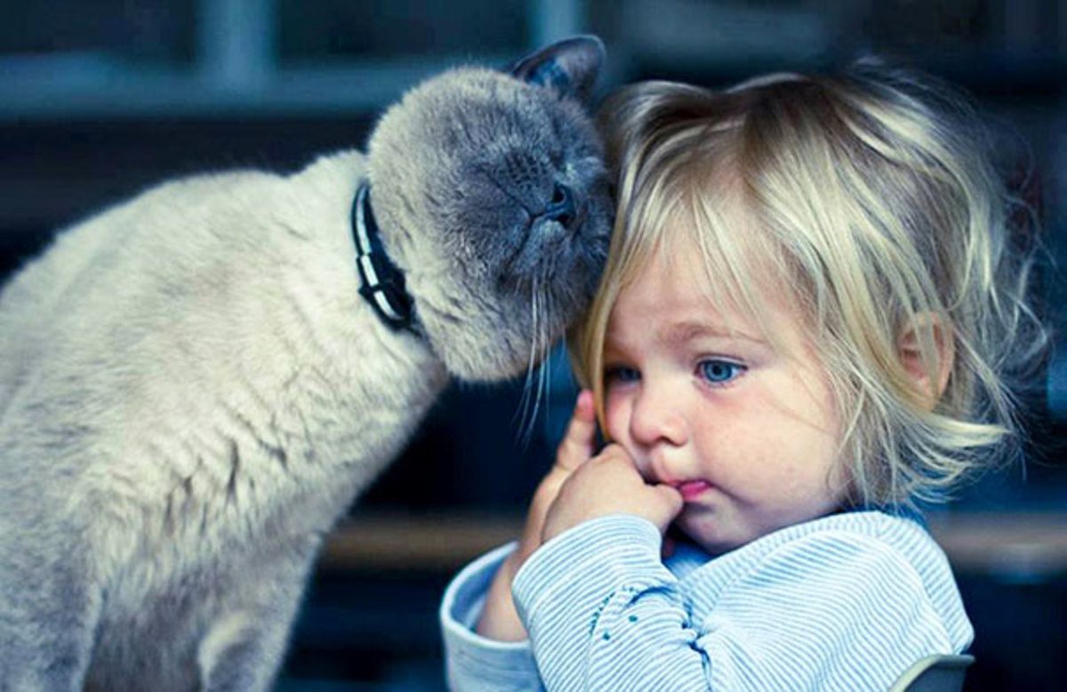 Photo via BoredPanda
