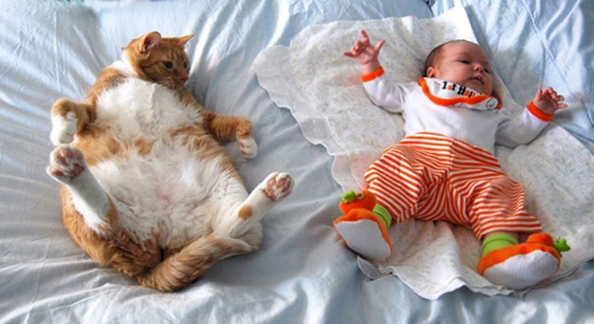 Photo via Imgur