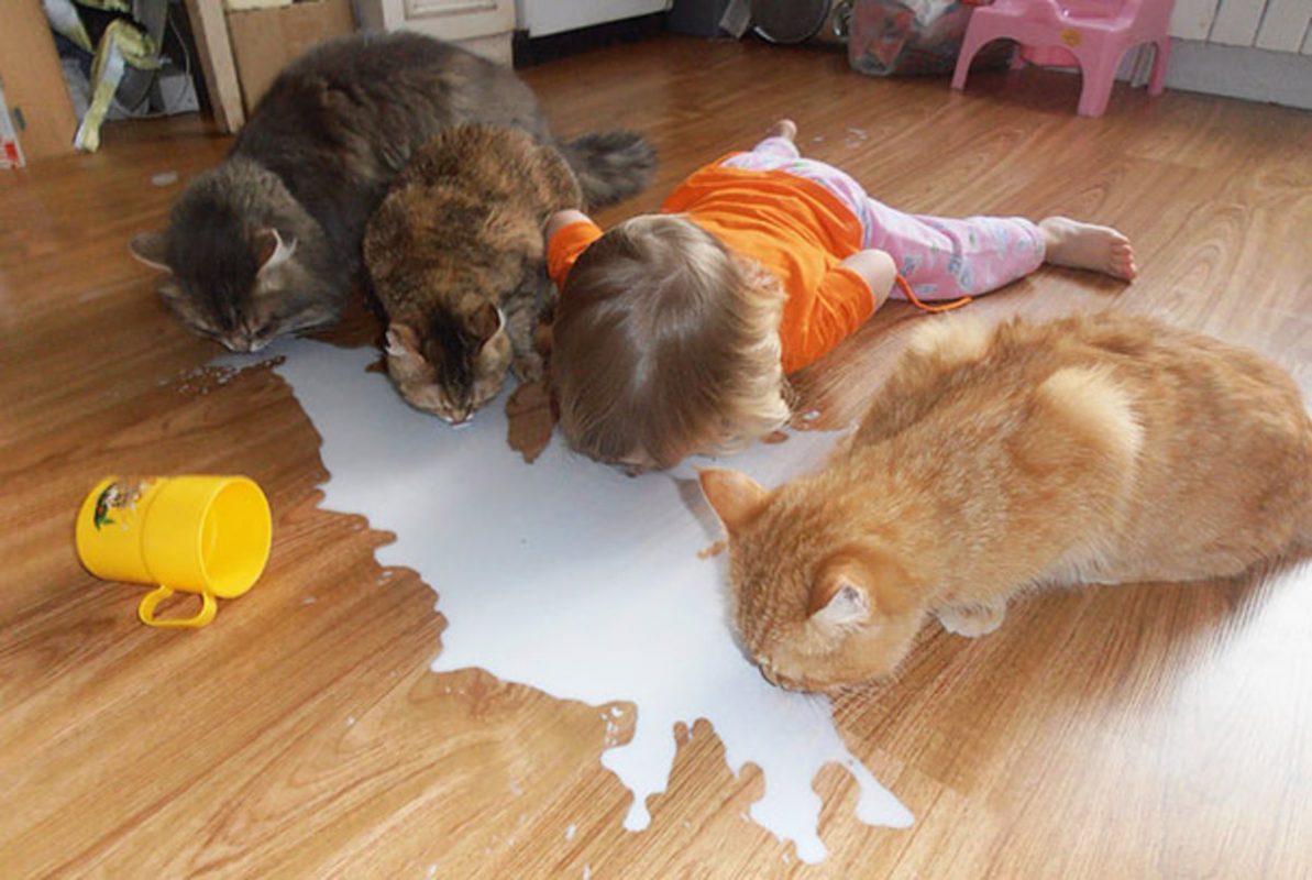 Photo via Imgur