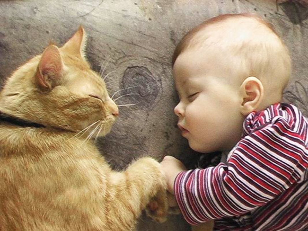 Photo via BoredPanda