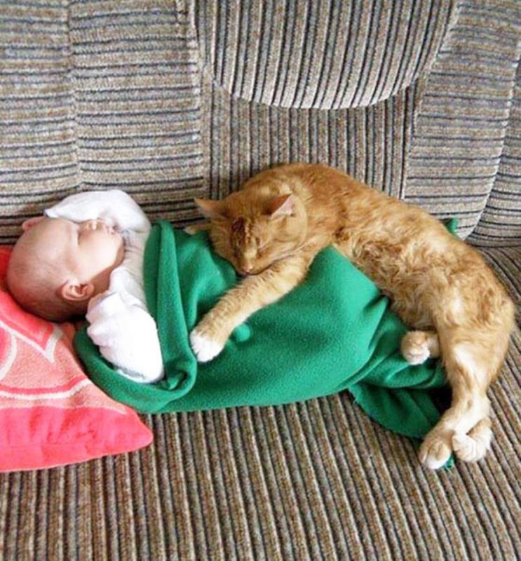 Photo via BoredPanda