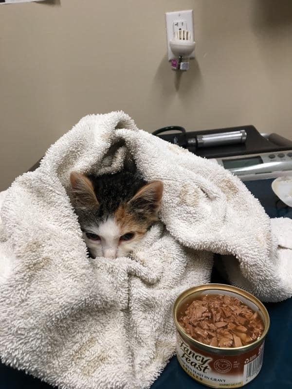 تصÙÛØ± Ù
ÛÚº ÛÛ Ø´Ø§Ù
Ù Û٠سکتا ÛÛ: âââØ¨ÙÙÙÛâ Ø§Ùر âØ§ÙØ¯Ø±ÙÙÛâââ