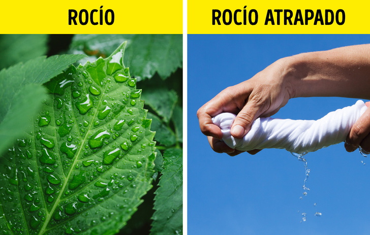 11 Trucos de supervivencia que nunca es demasiado tarde para aprender