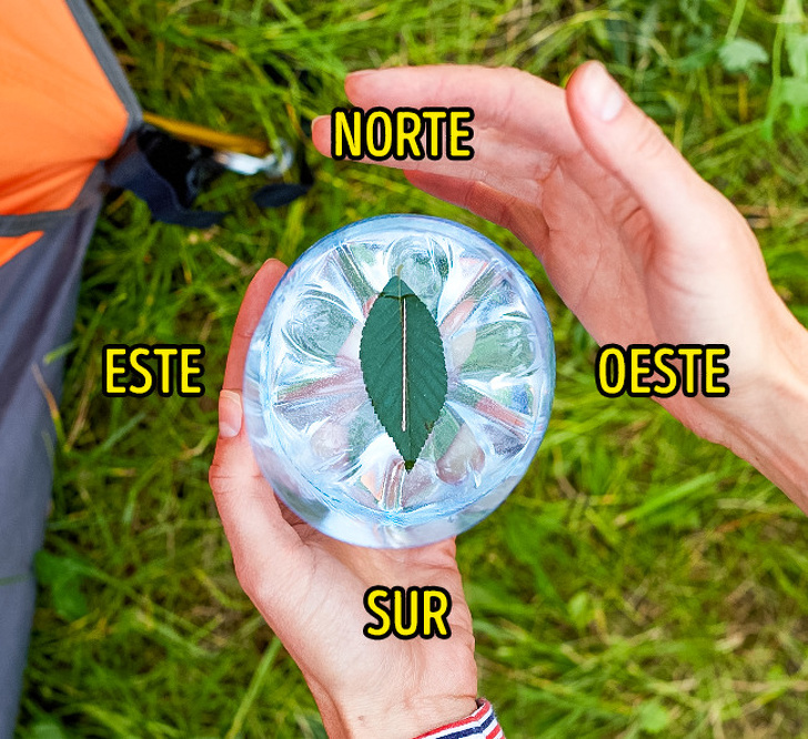 11 Trucos de supervivencia que nunca es demasiado tarde para aprender