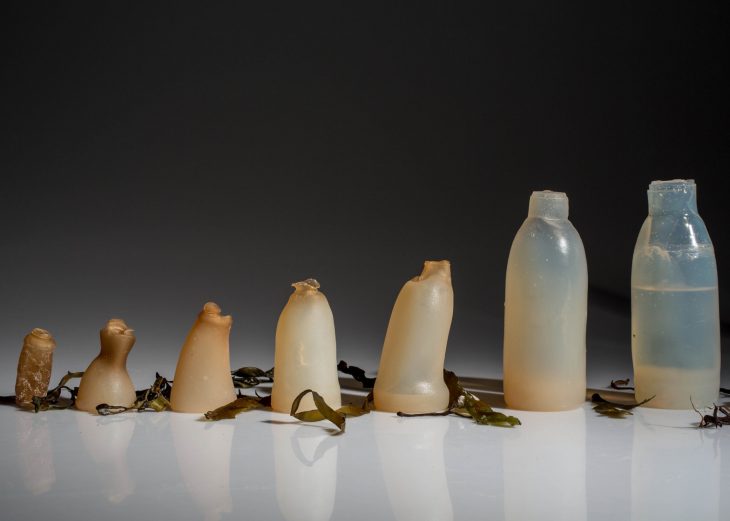 botellas biodegradables