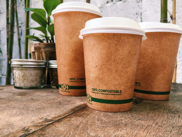 vasos biodegradables