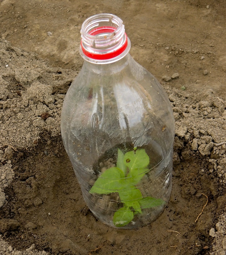 12 Maneras de reciclar el plástico por las que el planeta te agradecerá