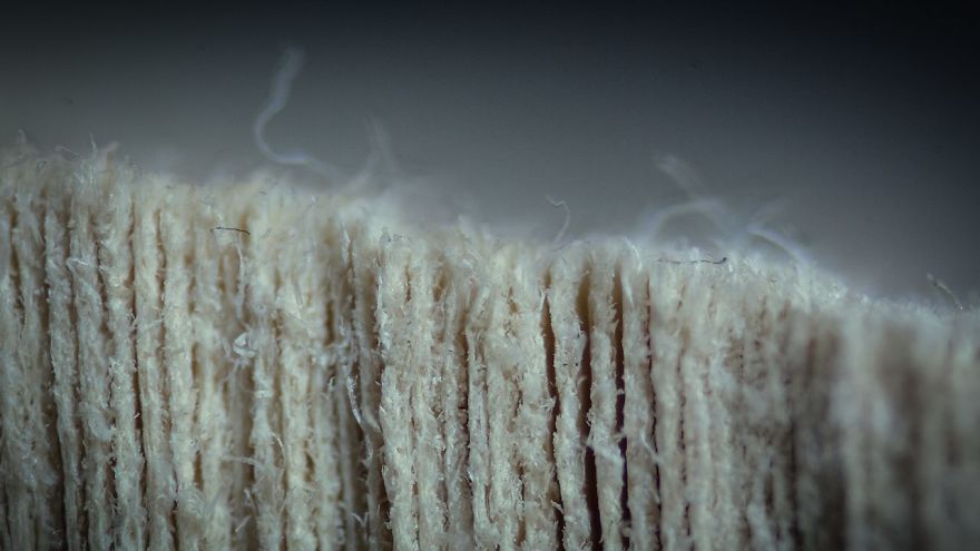 Book Pages