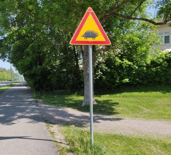 18 Ideias geniais de diferentes países que precisam ser implementadas com urgência no mundo todo