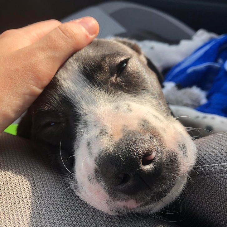 19 Fotos de álbuns familiares comoventes