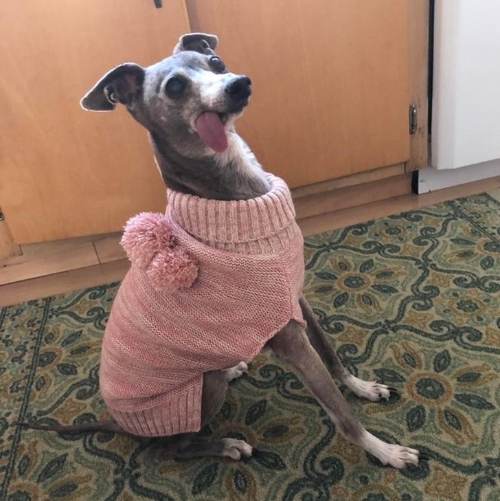 24 Usuários da rede demonstram que não existe nada mais irônico que o humor de uma mãe