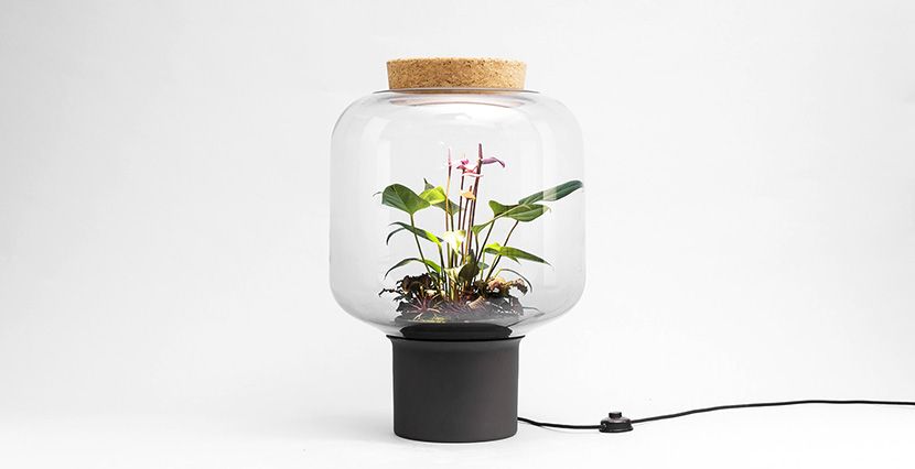 Resultado de imagen de Lámpara para la producción de plantas en espacios que no poseen ventanas