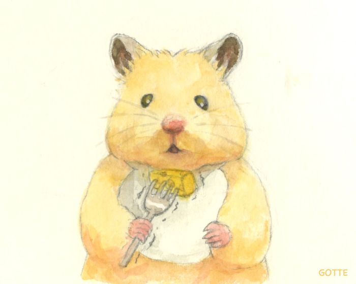 Artist Illustrates The Typical Life Of A Japanese Hamster And The Result Is Very Cute Artist Illustrates The Typical Life Of A Japanese Hamster And The Result Is Very Cute