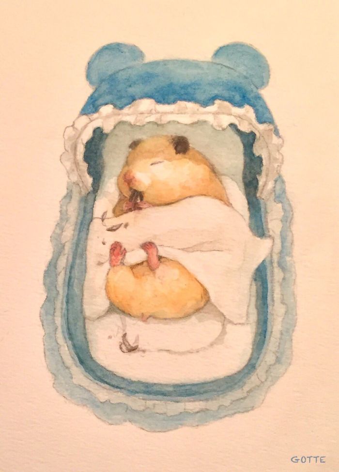 Artist Illustrates The Typical Life Of A Japanese Hamster And The Result Is Very Cute Artist Illustrates The Typical Life Of A Japanese Hamster And The Result Is Very Cute