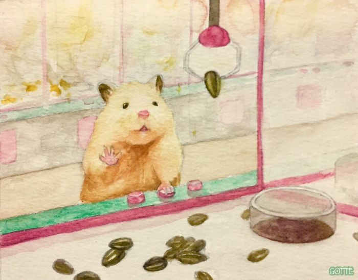 Artist Illustrates The Typical Life Of A Japanese Hamster And The Result Is Very Cute Artist Illustrates The Typical Life Of A Japanese Hamster And The Result Is Very Cute