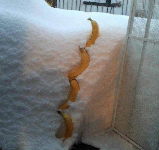 25 Dicas de gente que sabe como fazer uma boa gambiarra