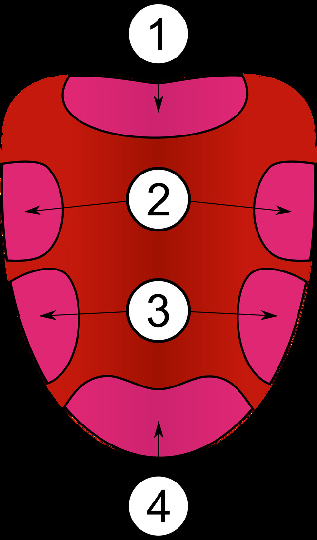 16 Afirmações médicas que não são verdadeiras, mas muitas pessoas ainda acreditam